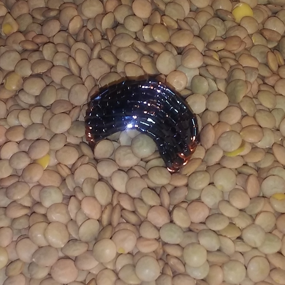 Ring - Picture 4 of 4